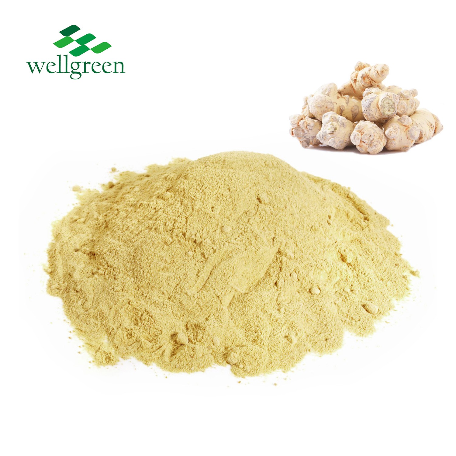 Notoginseng Extract